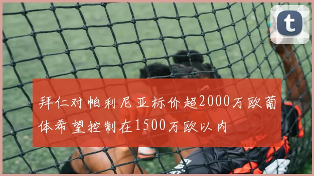 拜仁对帕利尼亚标价超2000万欧葡体希望控制在1500万欧以内