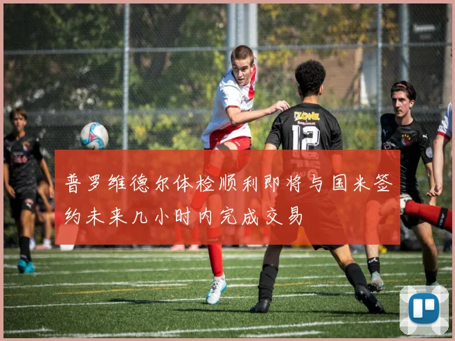 普罗维德尔体检顺利即将与国米签约未来几小时内完成交易